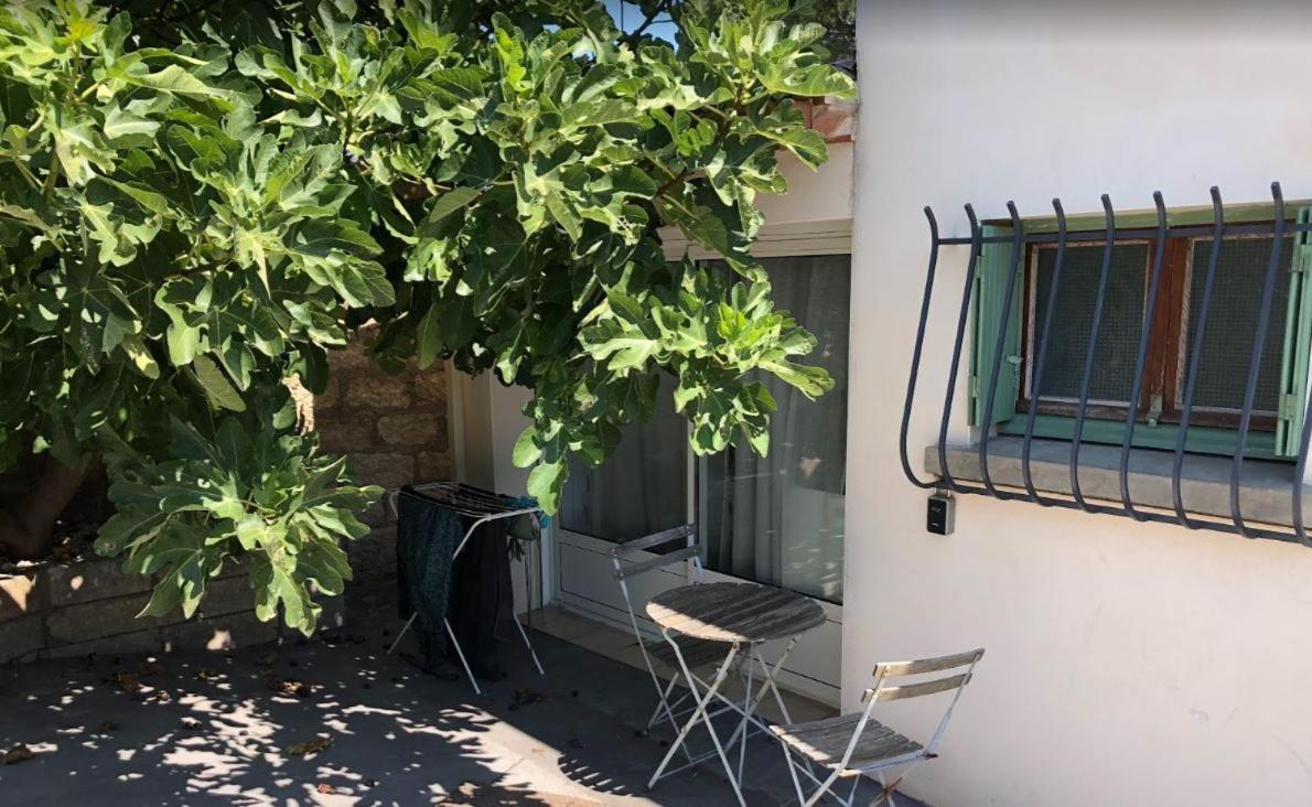 Le Nid Castries - Charmant Logement Complet Et Equipe Centre Castries Proche Montpellier Eksteriør bilde
